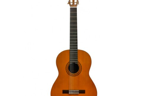 معرفی ساز گیتار